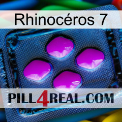 Rhinocéros 7 04